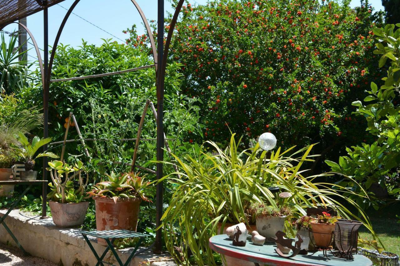 Les Passiflores Grasse Ngoại thất bức ảnh